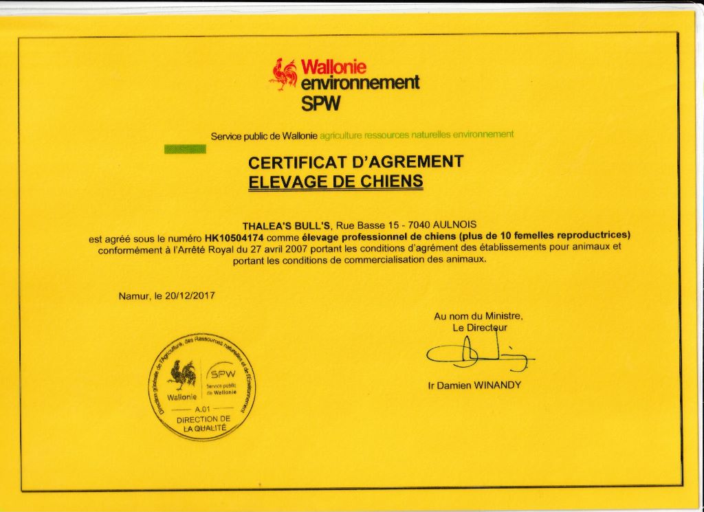 Thalea Bulls - Certificat d'agrément élevage chiens